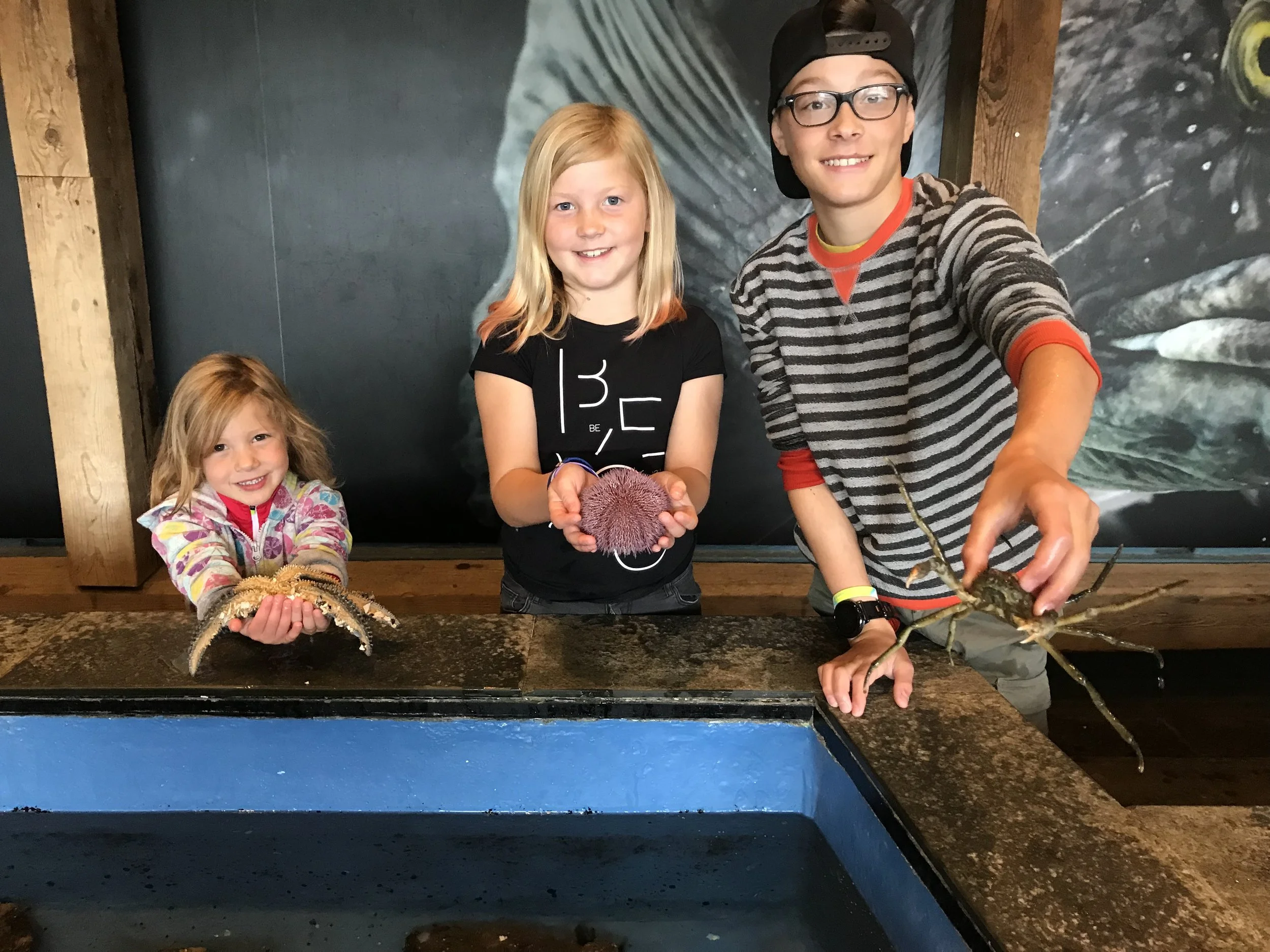 At the Bergen Akvariet (aquarium). It was very interactive and the kids LOVED it!