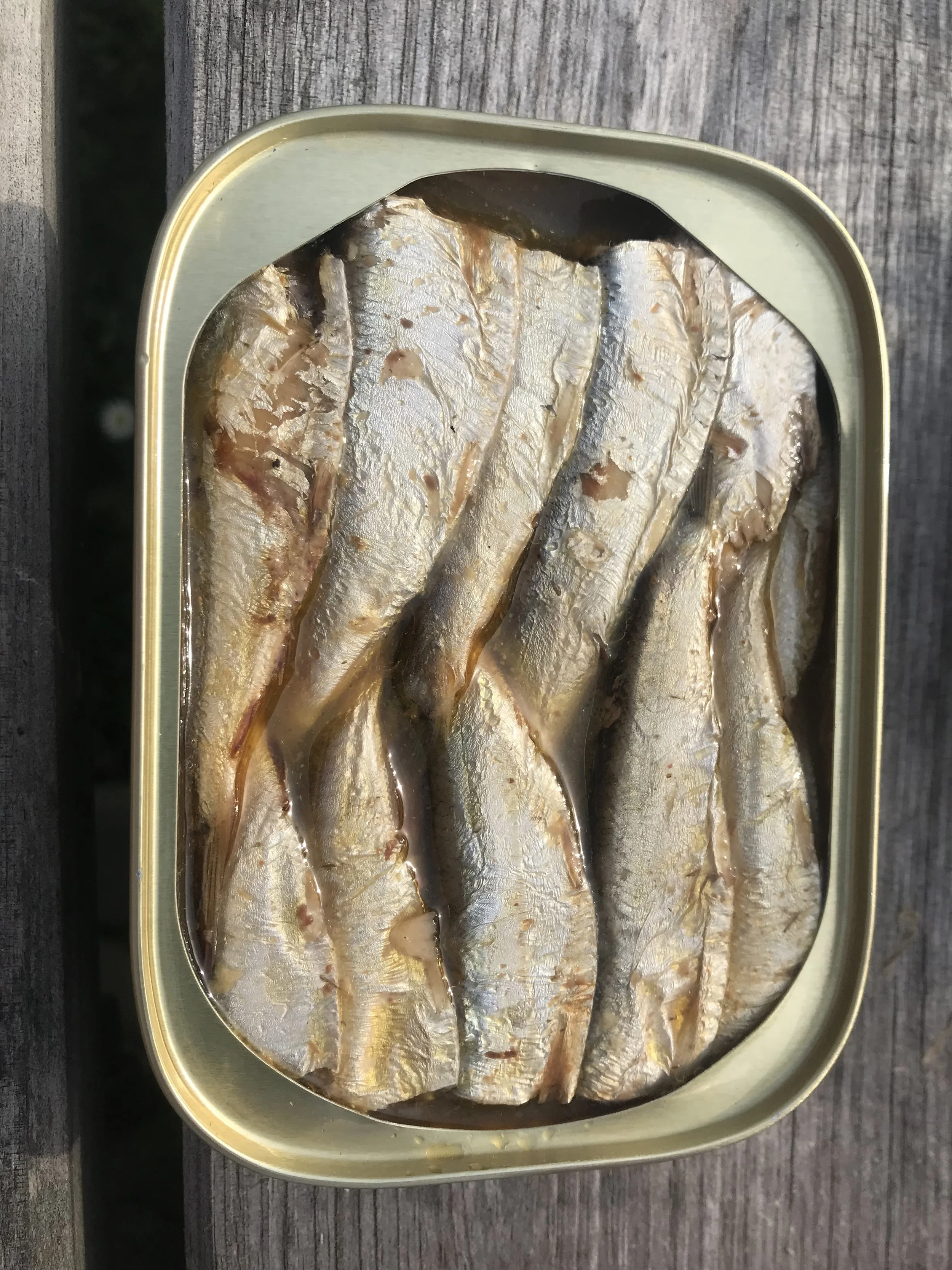 Sardines in a tin can (Without any heads and put in a can by hands until today!!!)