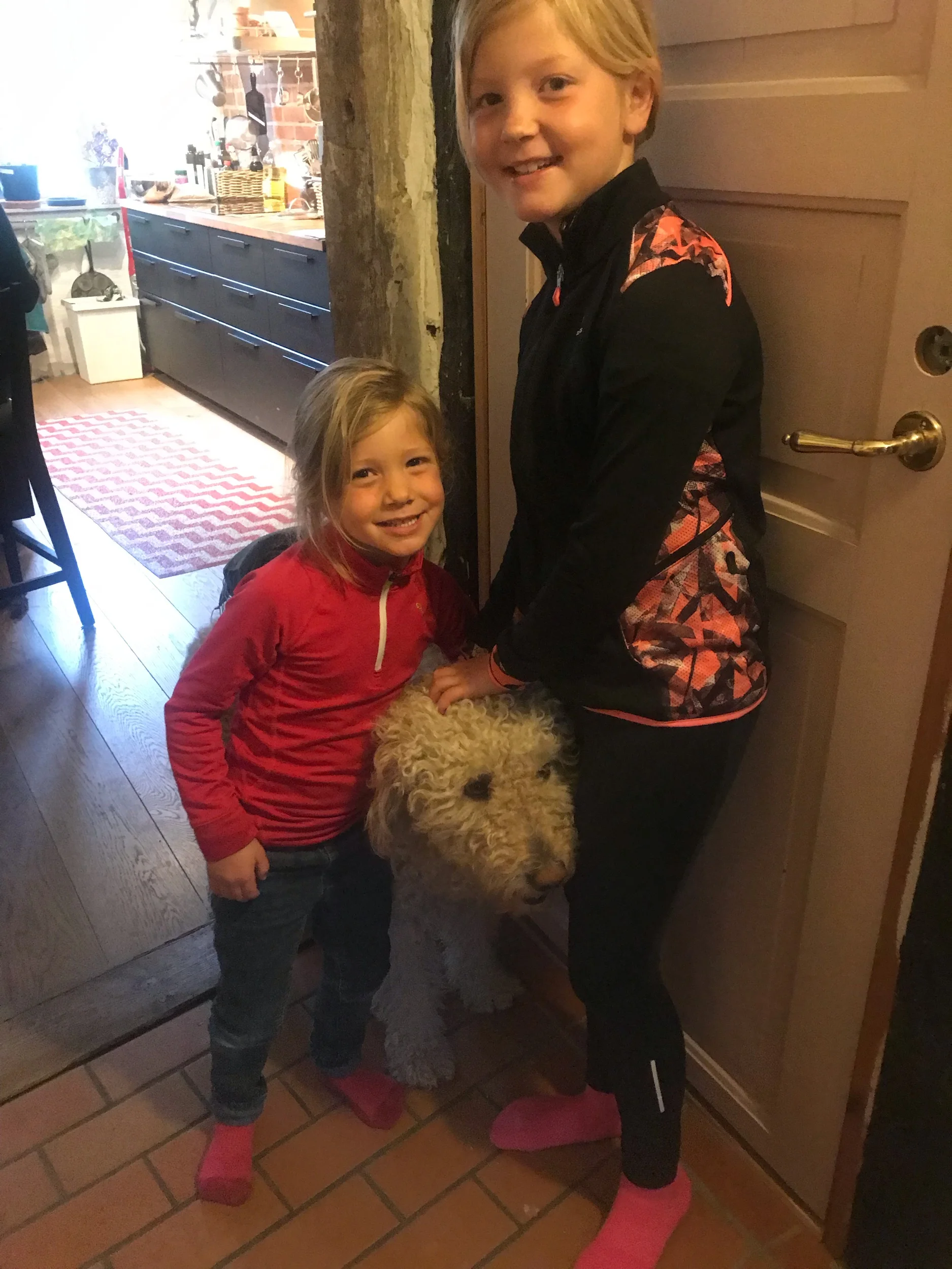 Our stay in Landskrona, Sweden, came with a dog (and the family who owns him ;-) the kids LOVED Leo!!!