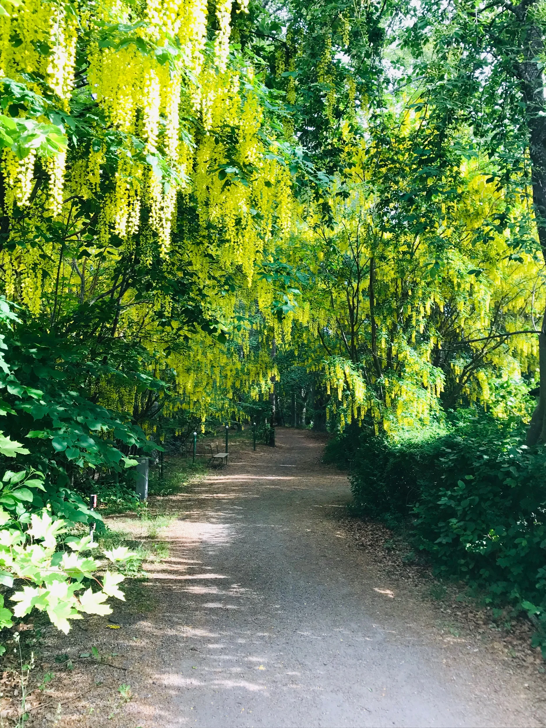 Storholmen Island near Stockholm