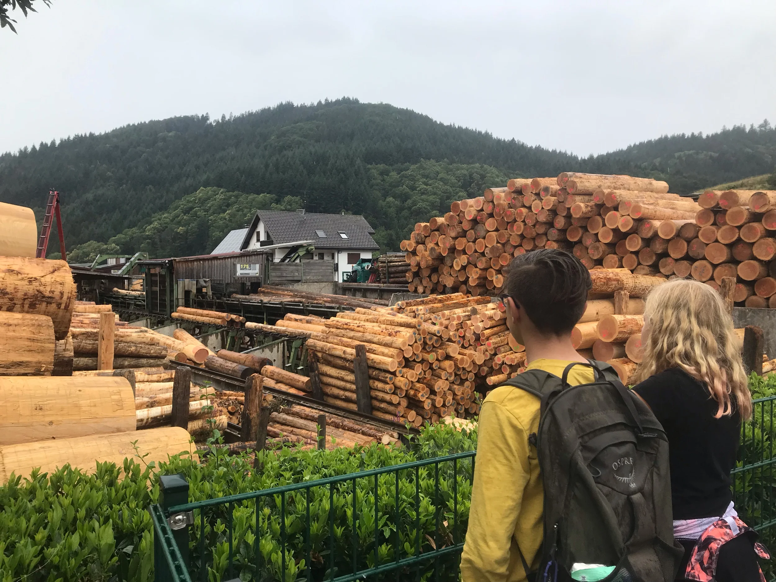 The fascinating log factory
