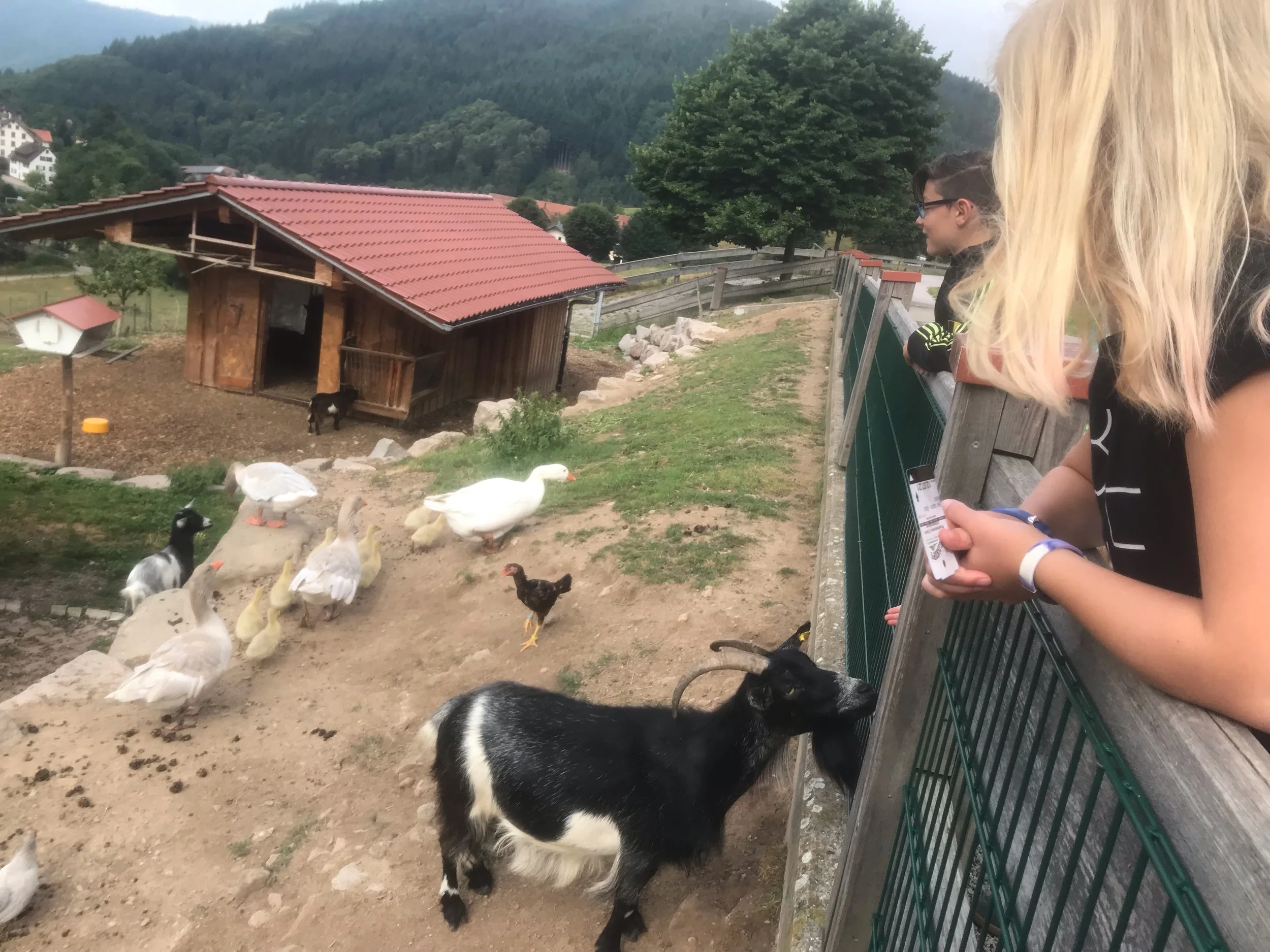 Entertaining ourselves!!!