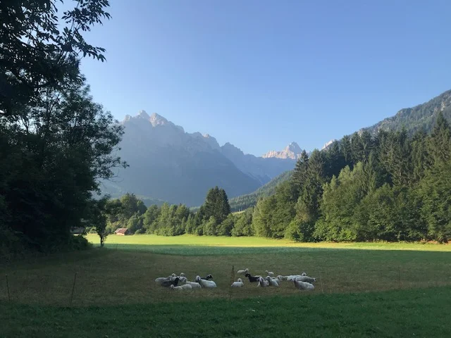 Some of the views I get to admire on my early morning runs! (Slovenia)