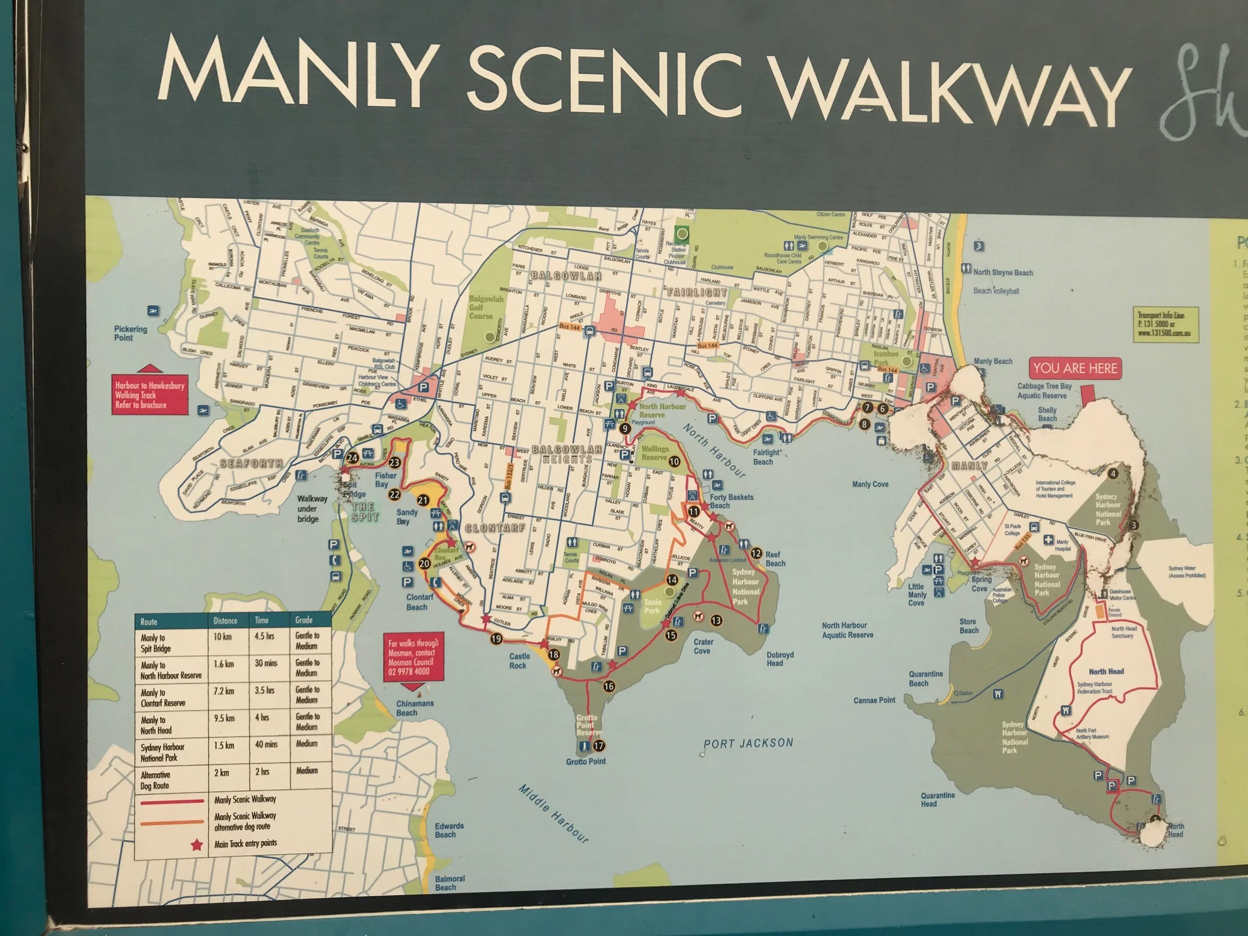 The map shows the Manly to Spit bridge route
