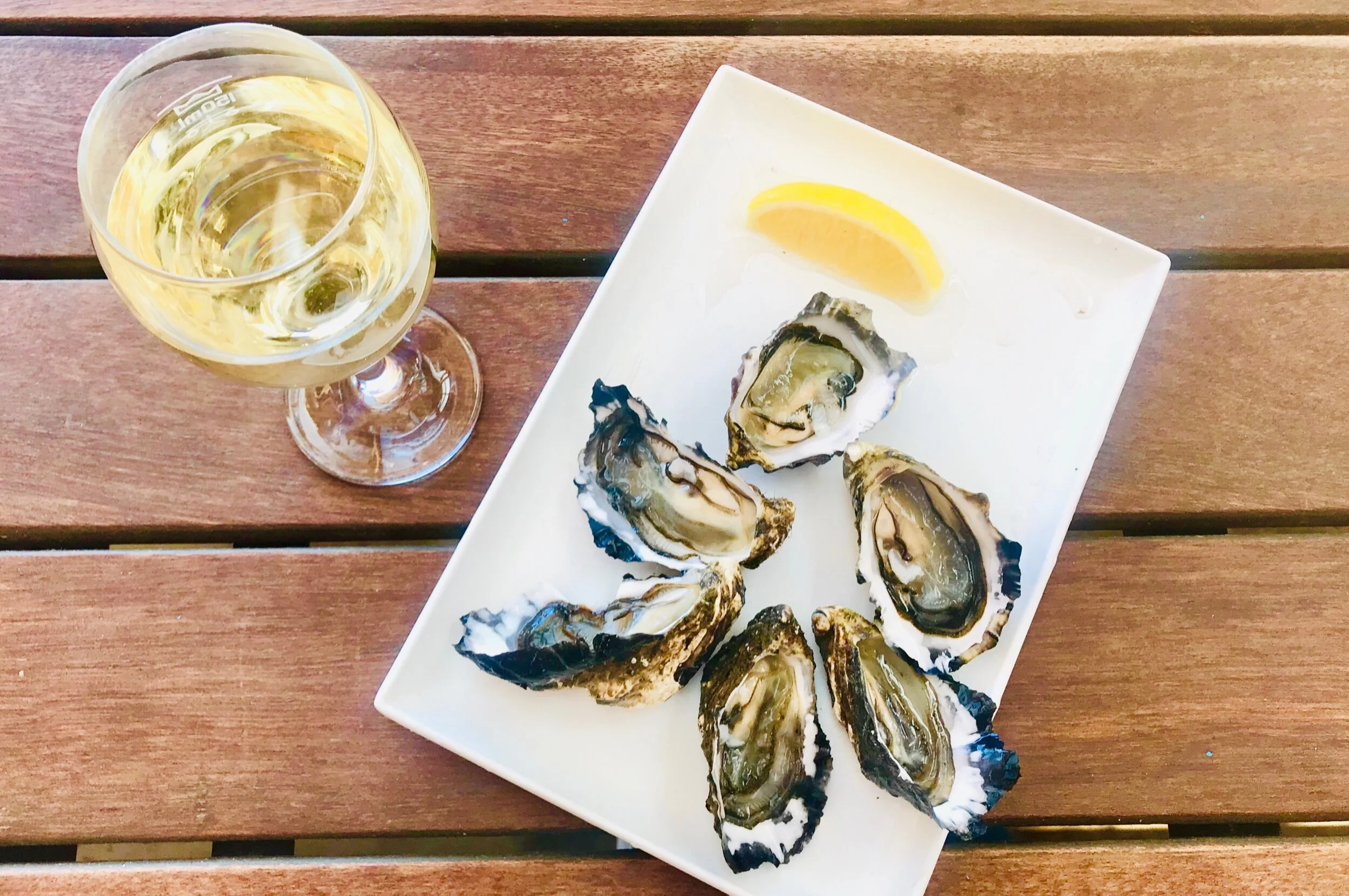 Amazing lunch at Frycinet Marine farm