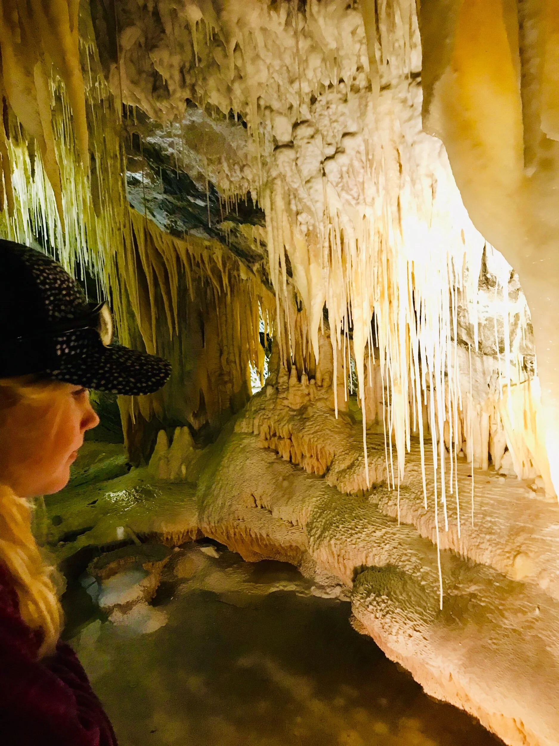 Mole Creek Cave