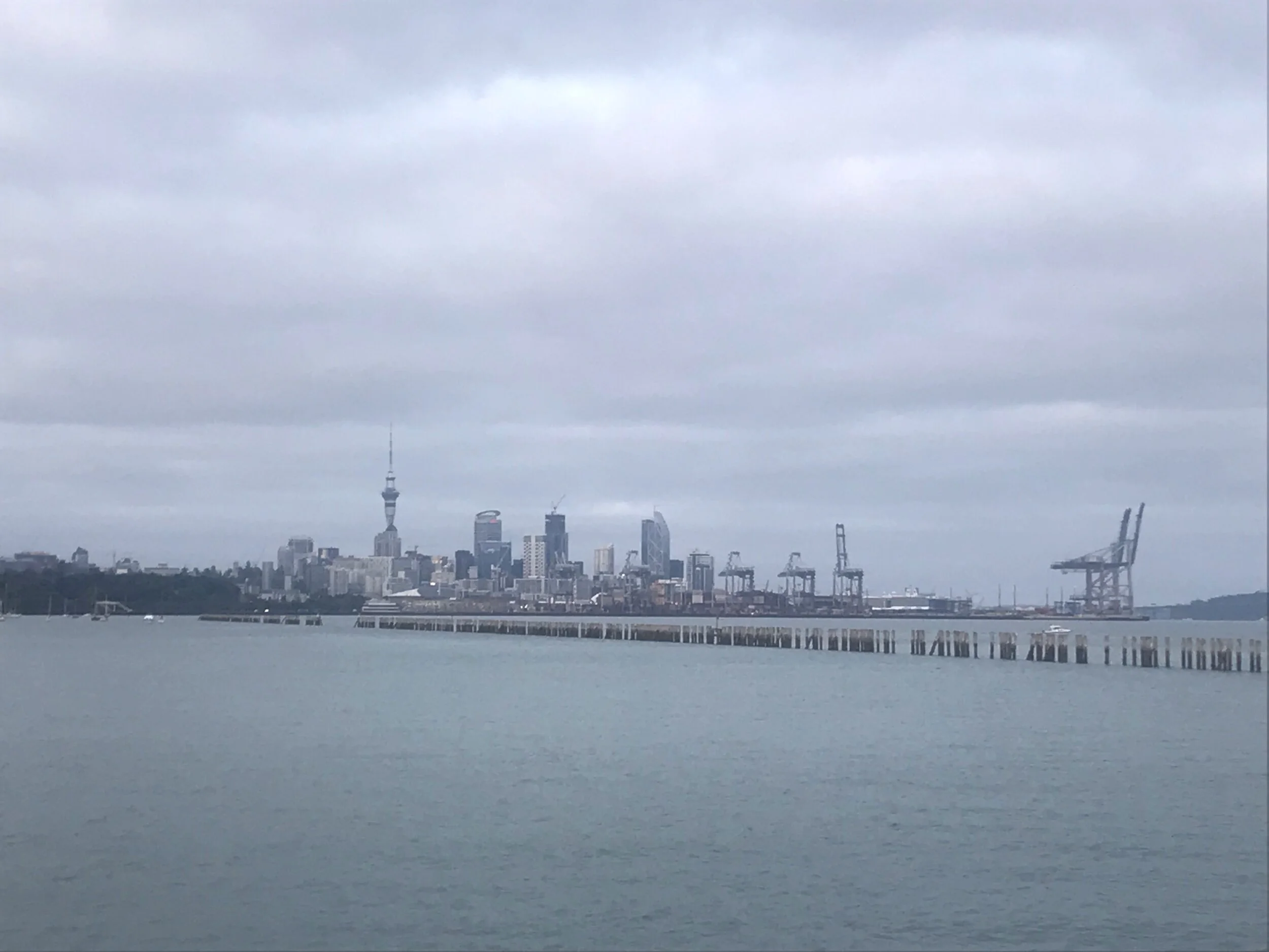 This is the view from the ferry leaving to Waiheke Island