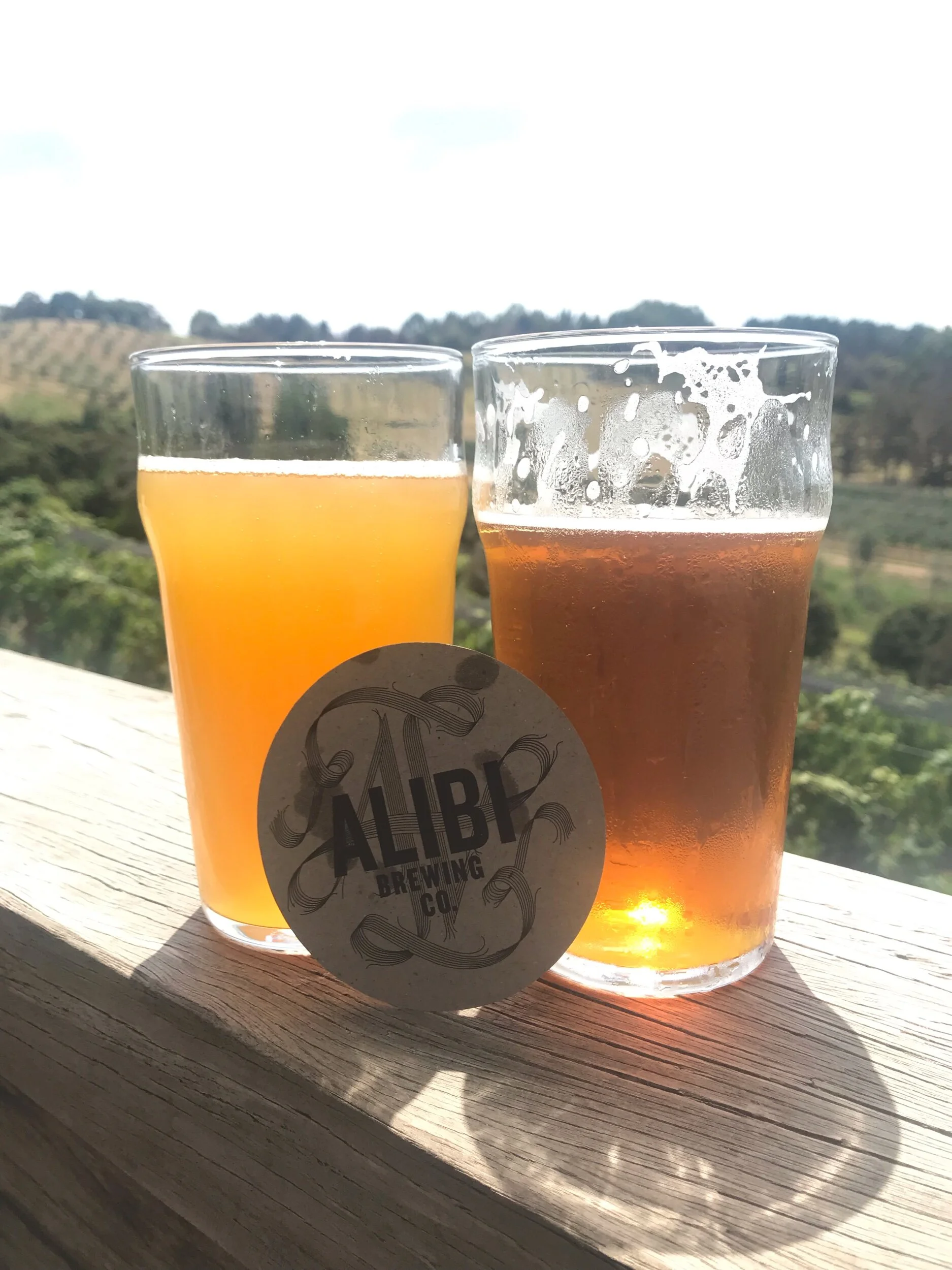 This is one of the breweries that we went to and the name is Alibi Brewing Company. It had a winery on the top and a brewery on the bottom. The winery is older though. It had a pretty nice view from the brewery.