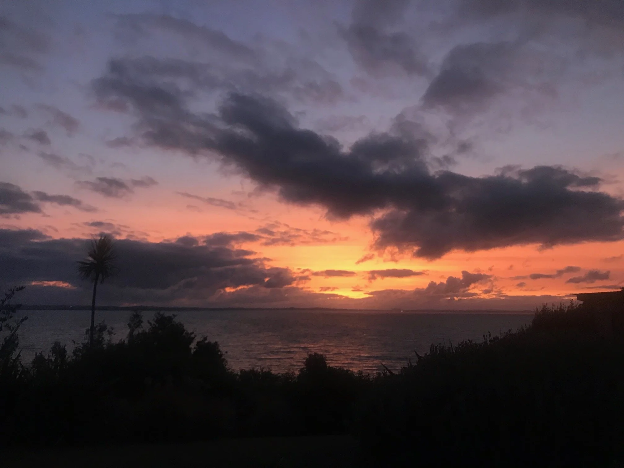 10 days on Waiheke Island, New Zealand