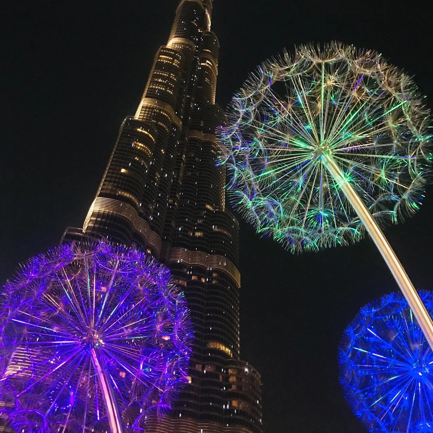 The Burj Khalifa and huge dandelions in Dubai!! And even better, at night!!