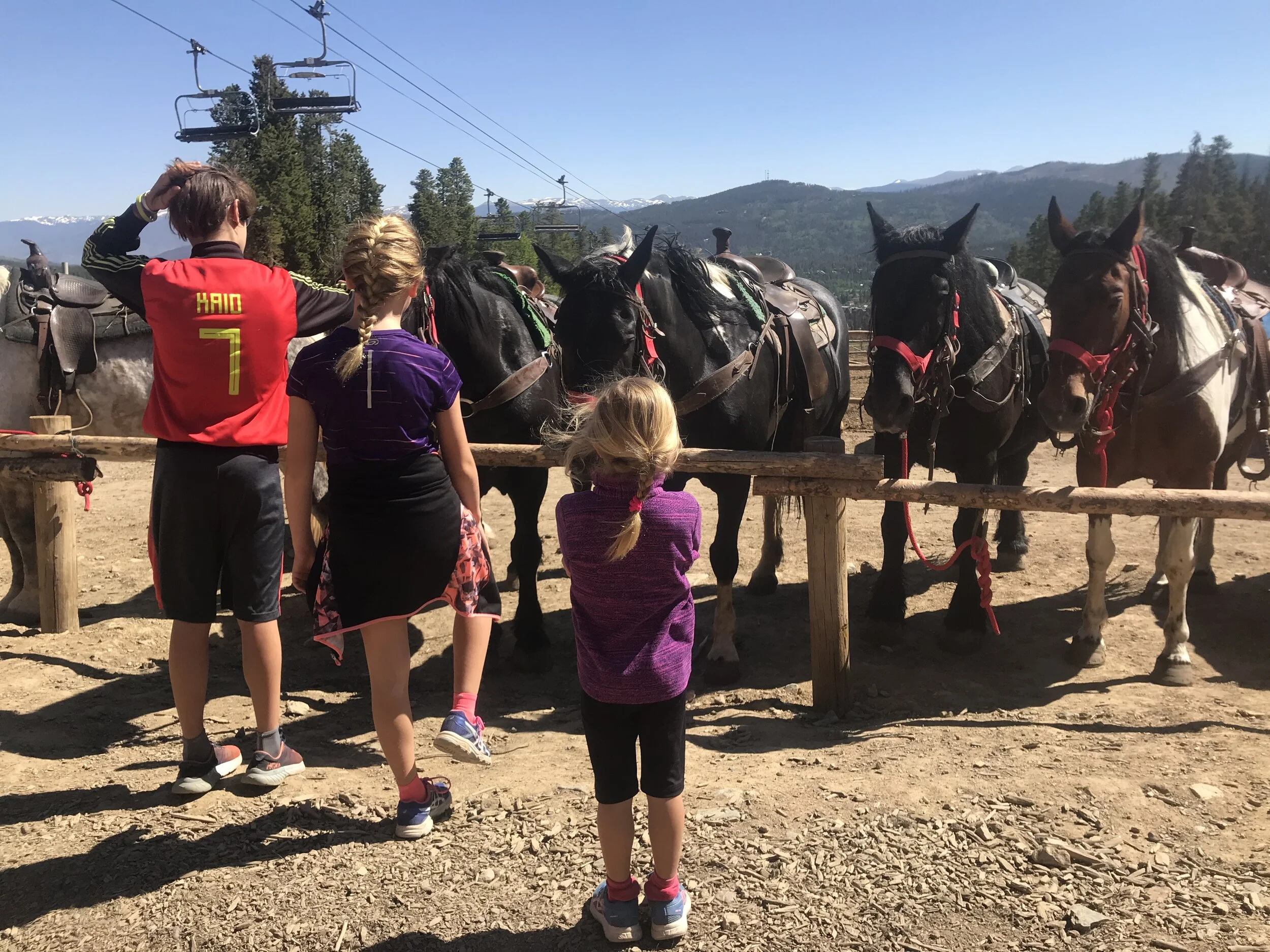 These are the beautiful horses at the Breckenridge Stables.