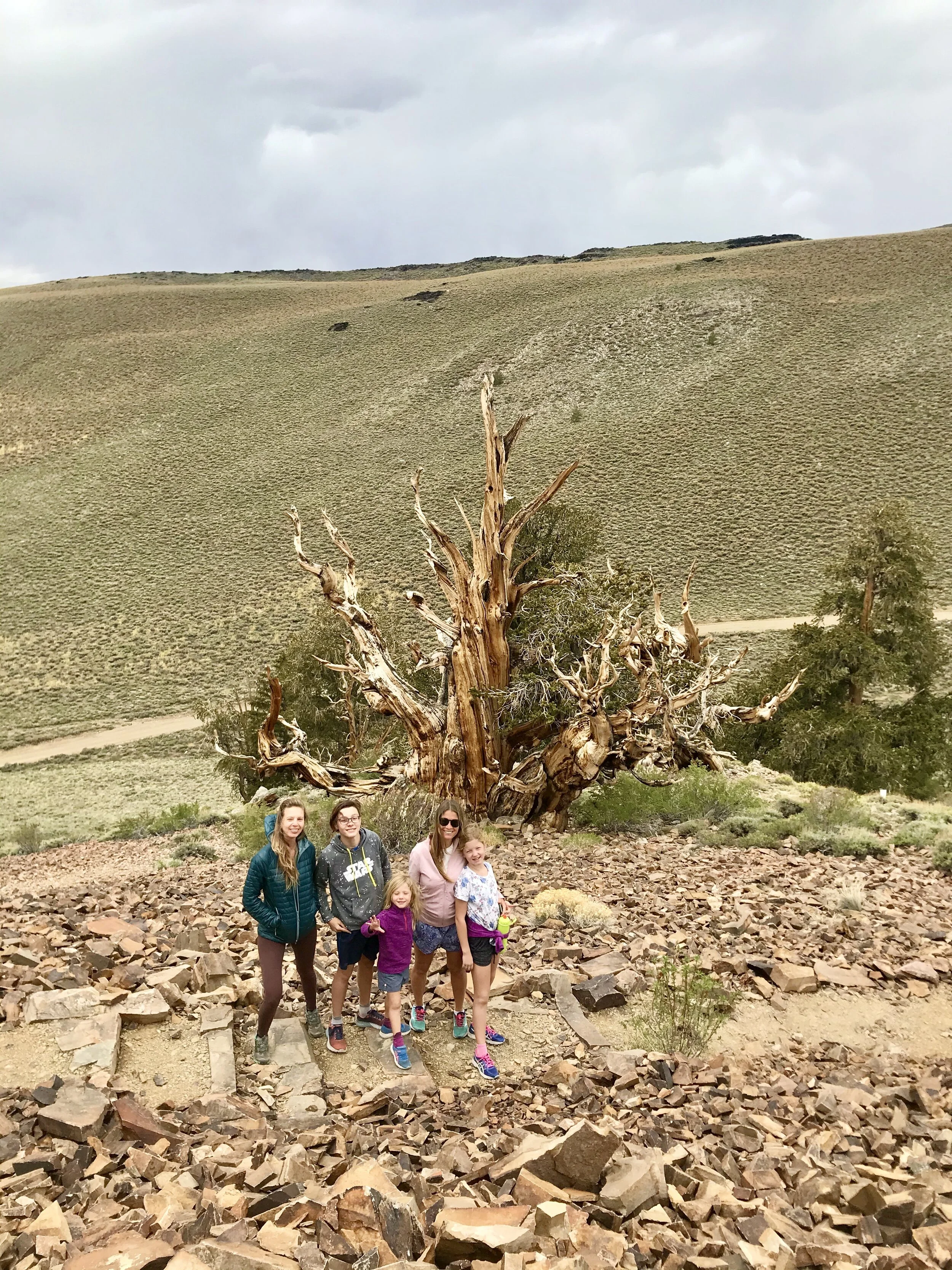 This is us with our aunt posing in front of a tree