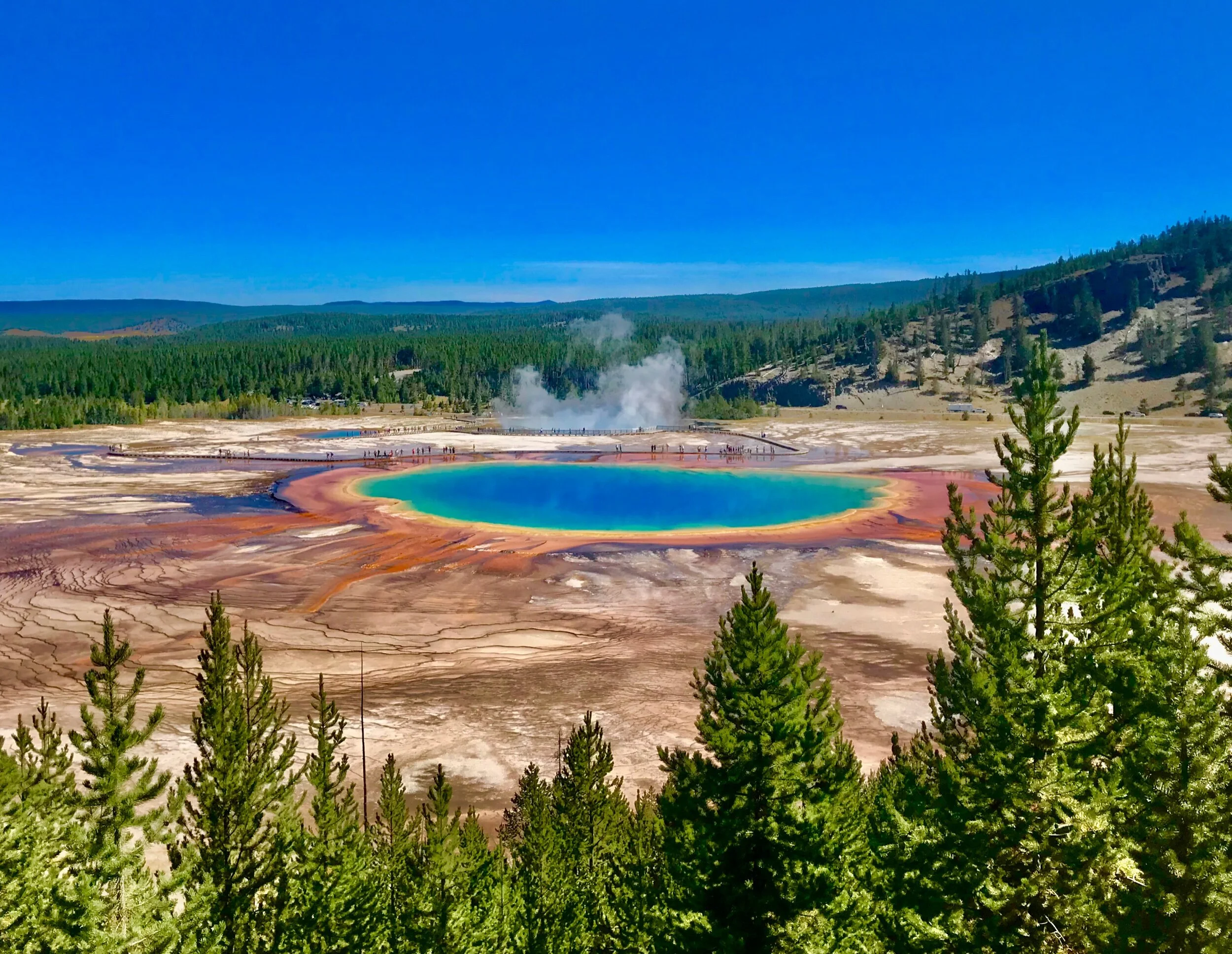 This is the Grand Prismatic Springs from the view up top.