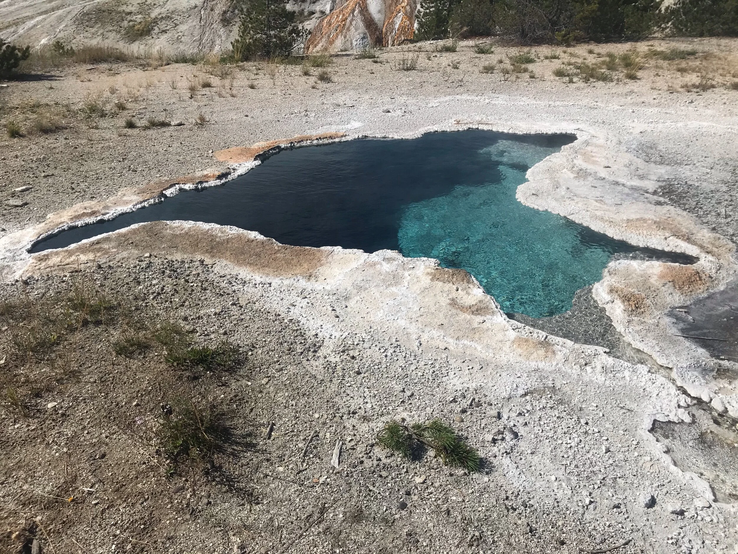 Another one of the many hot springs scattered around the park!!