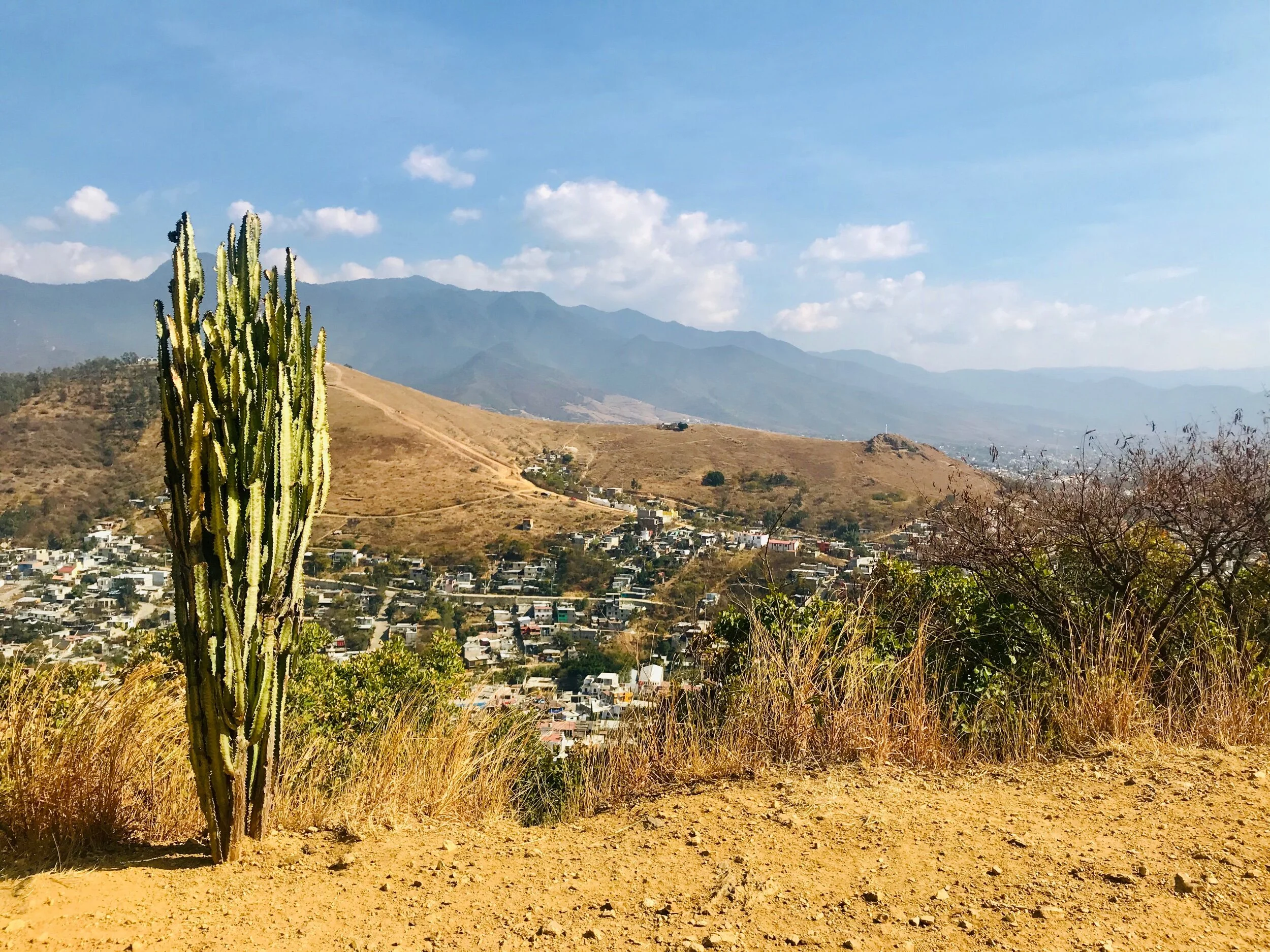 A month in Oaxaca de Juarez! 🇲🇽