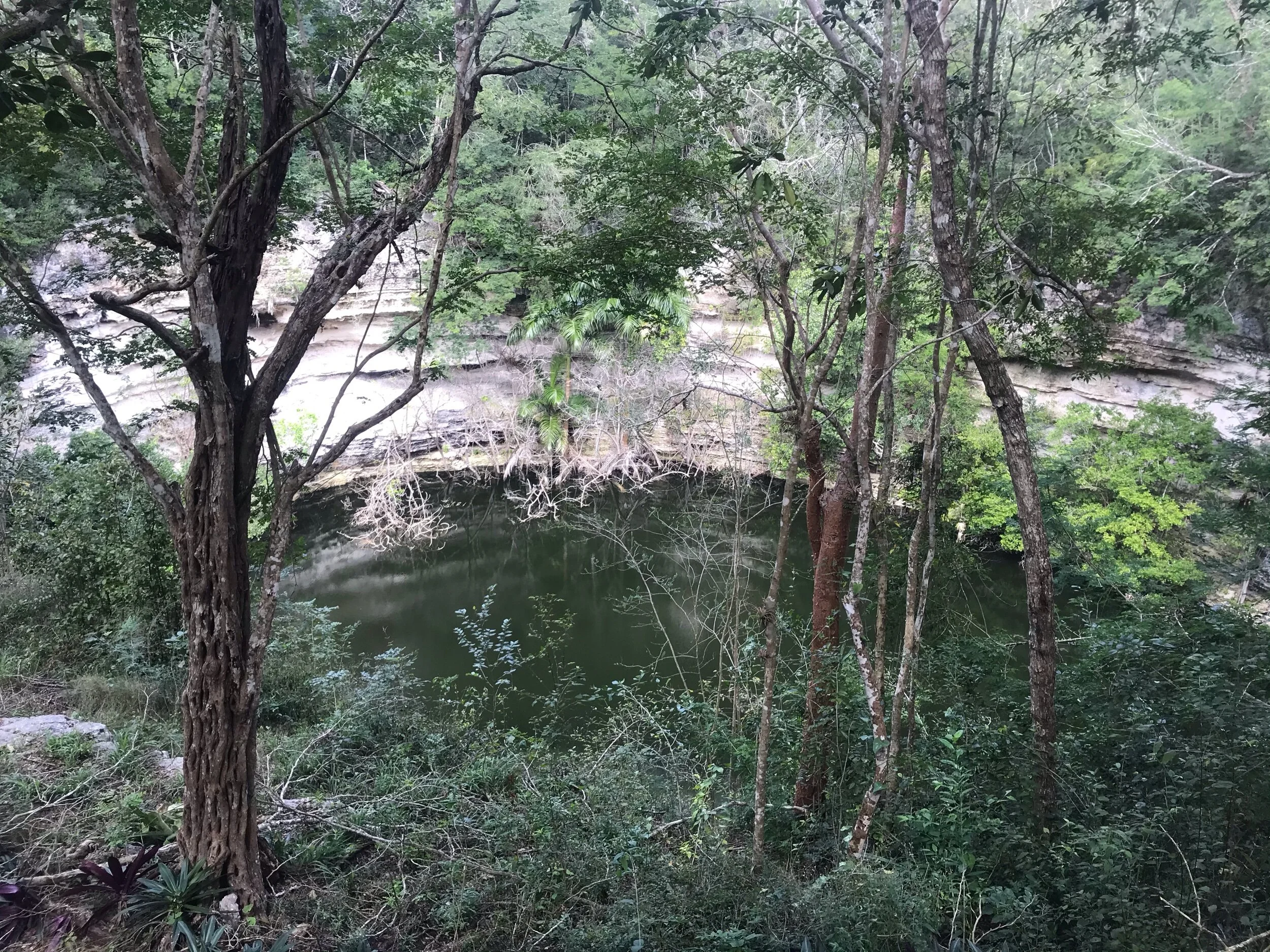 The sacred cenote