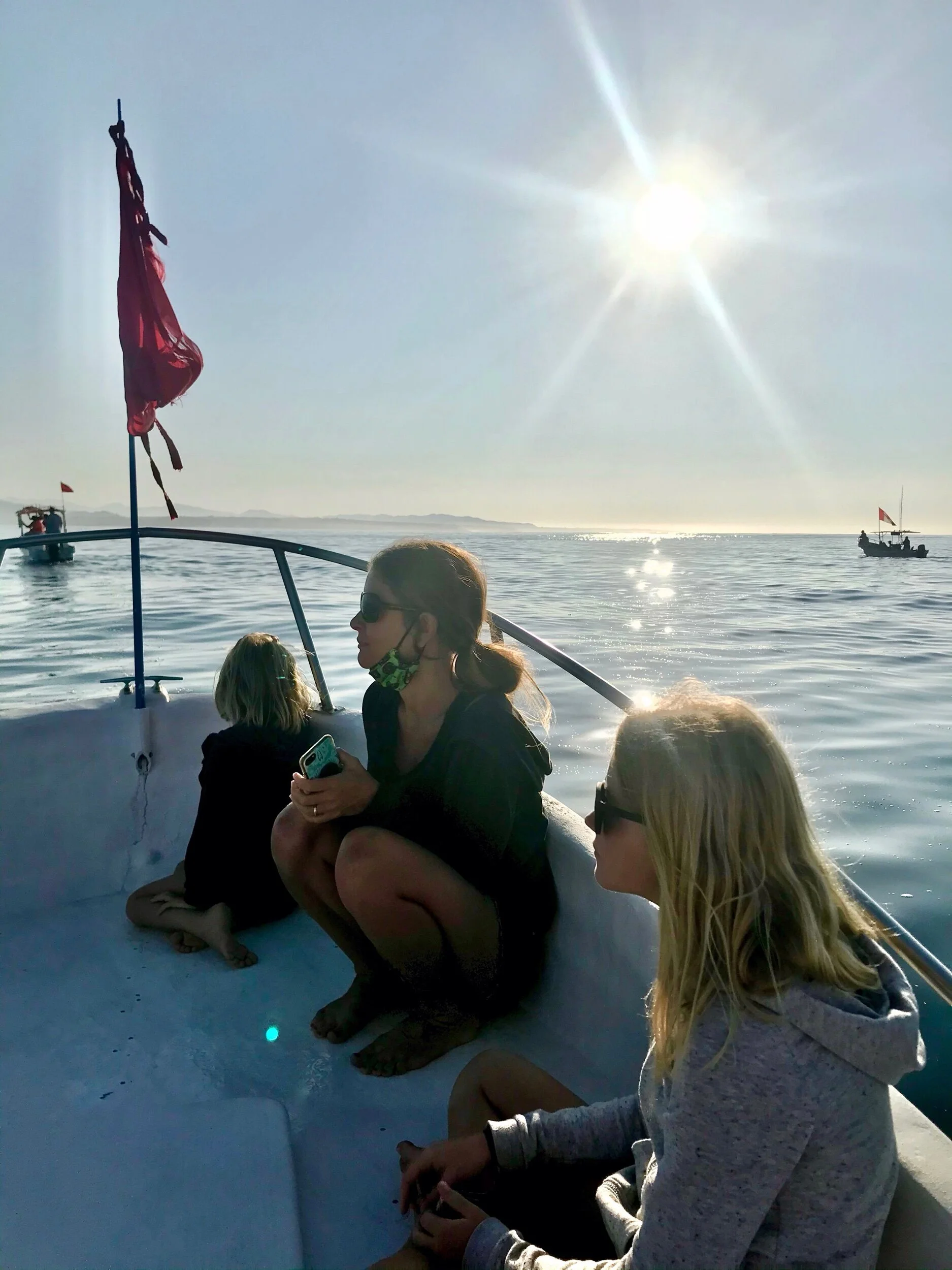 Whale watching in Puerto Escondido
