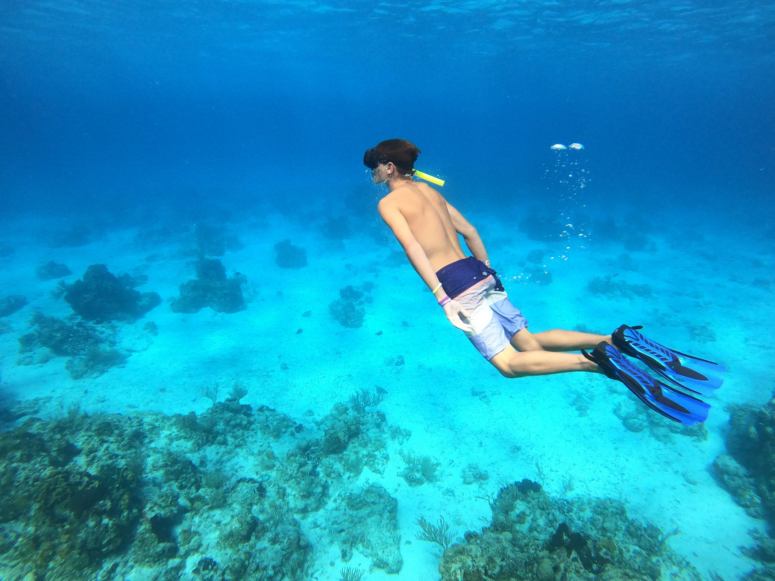 Scuba in Mexico; A beginners guide to scuba