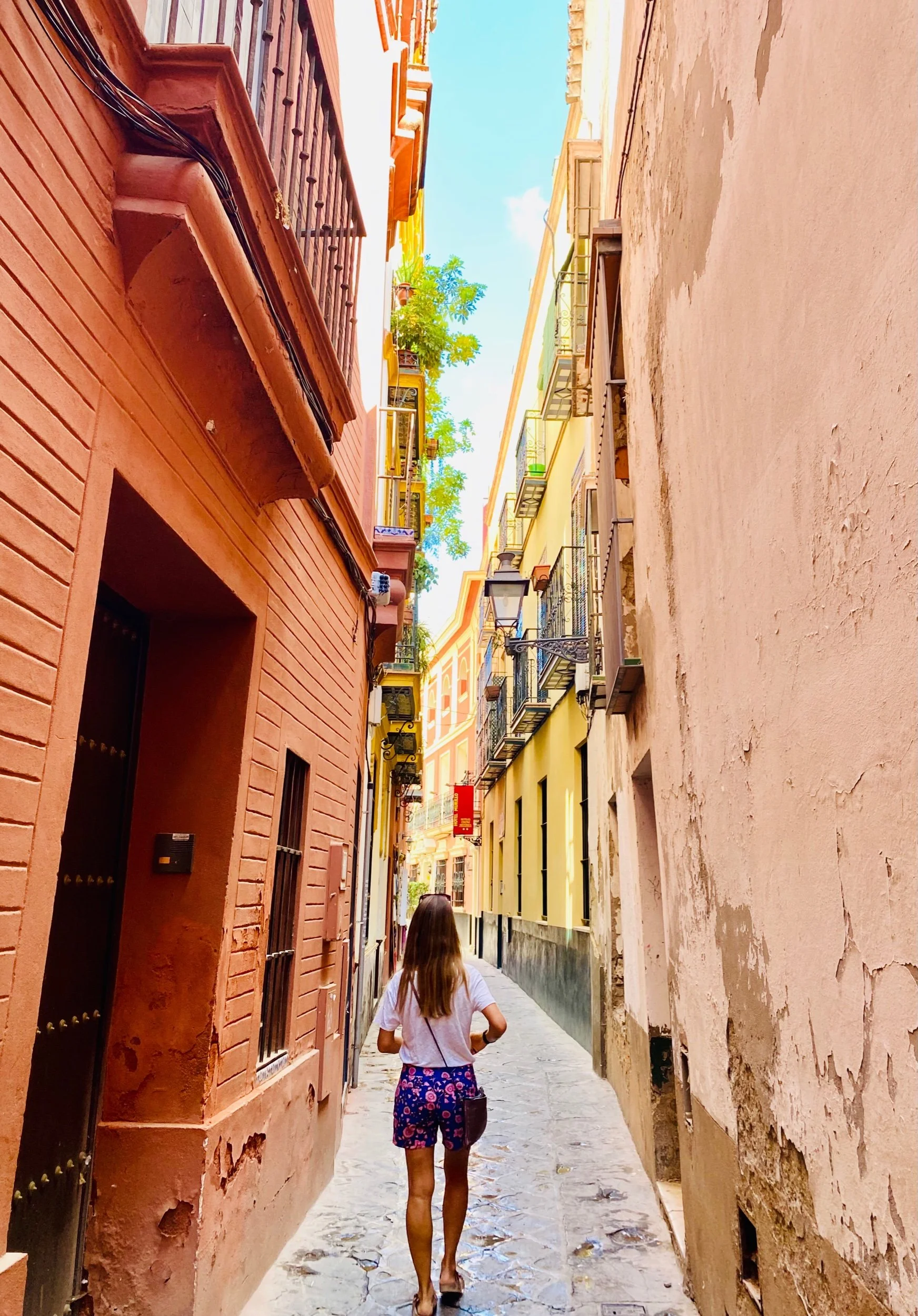 Seville; tapas, sangria &amp; bull fighting